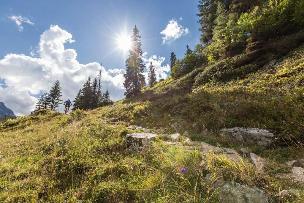 T3 Gasthof Spullersee Wald am Arlberg Esterno foto